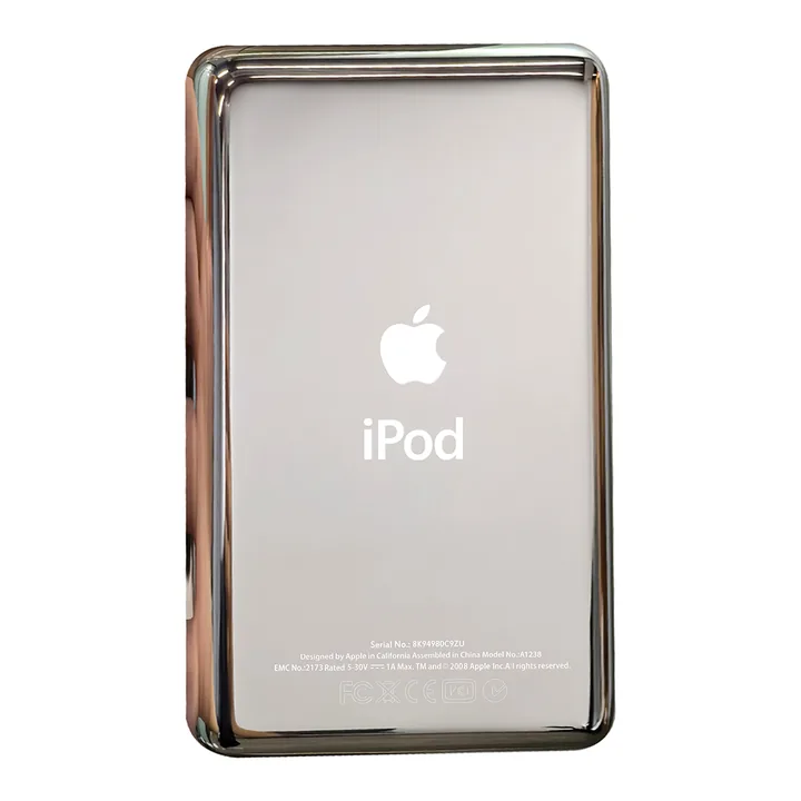 Retro argentato iPod Classic / Video